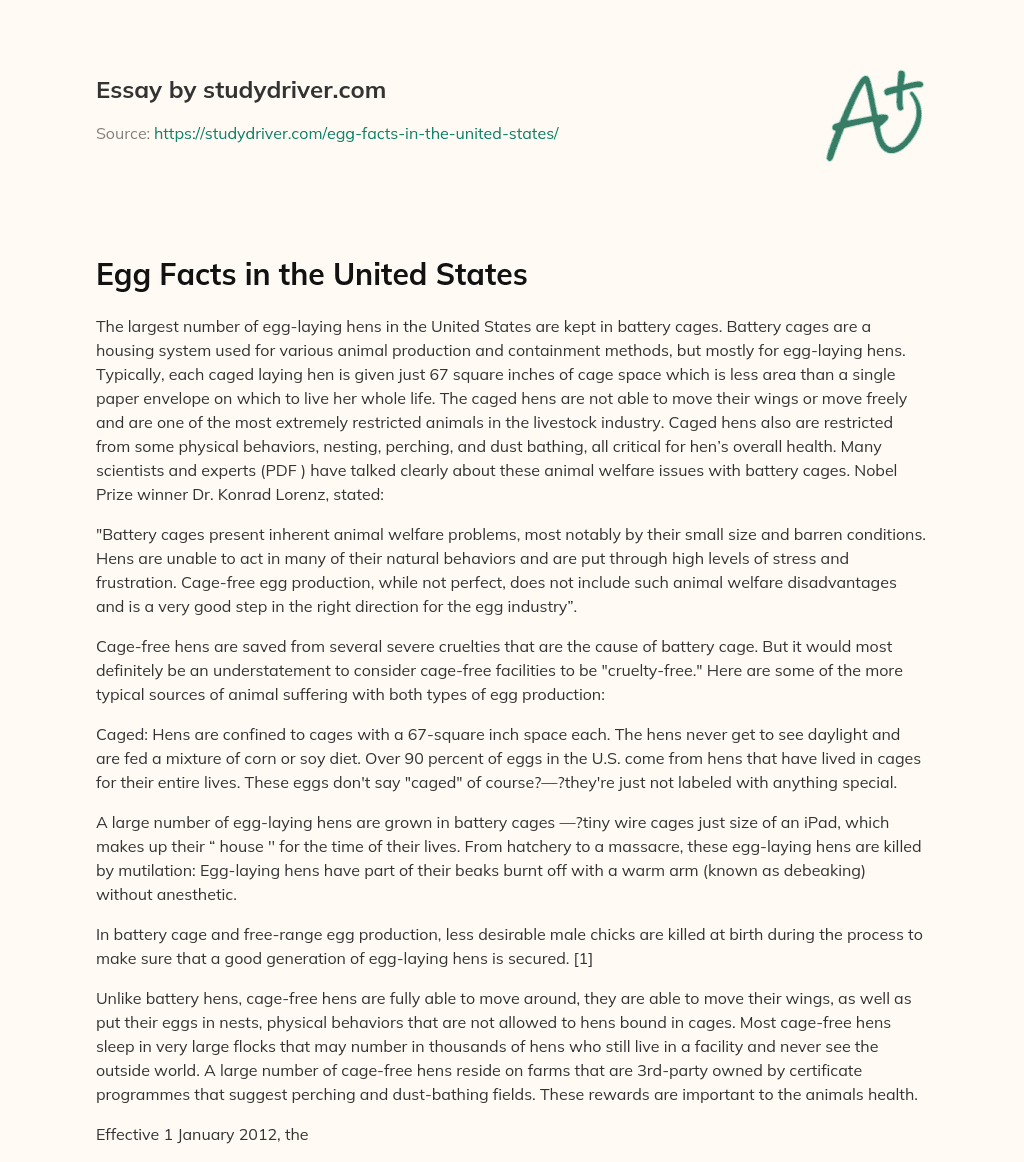 Egg Facts in the United States essay