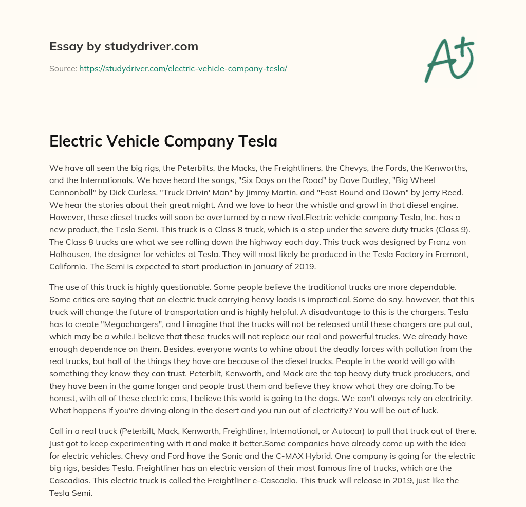 Electric Vehicle Company Tesla essay
