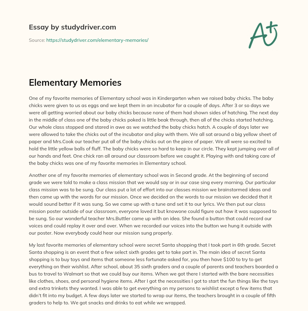 Elementary Memories essay
