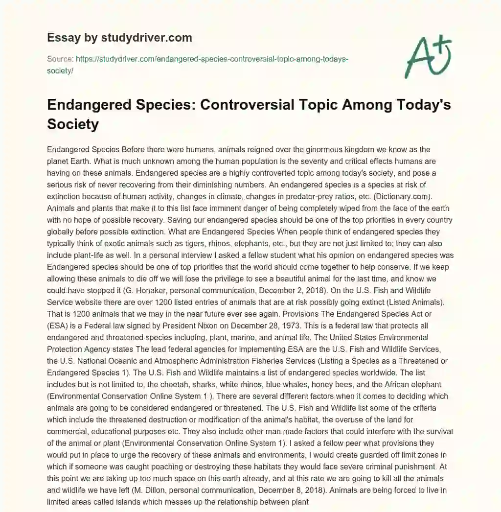 Endangered Species: Controversial Topic Among Today’s Society essay