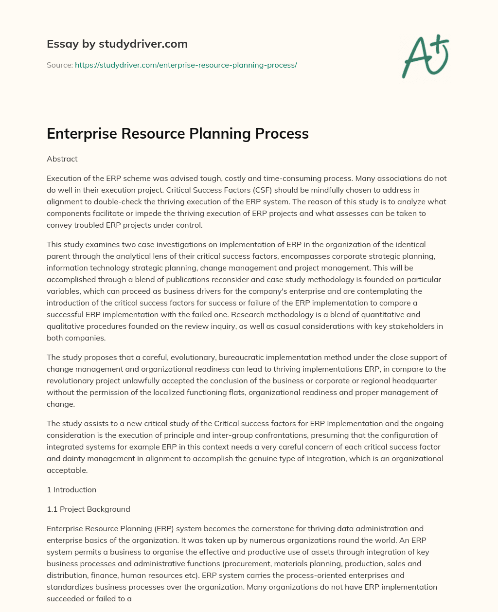 Enterprise Resource Planning Process essay