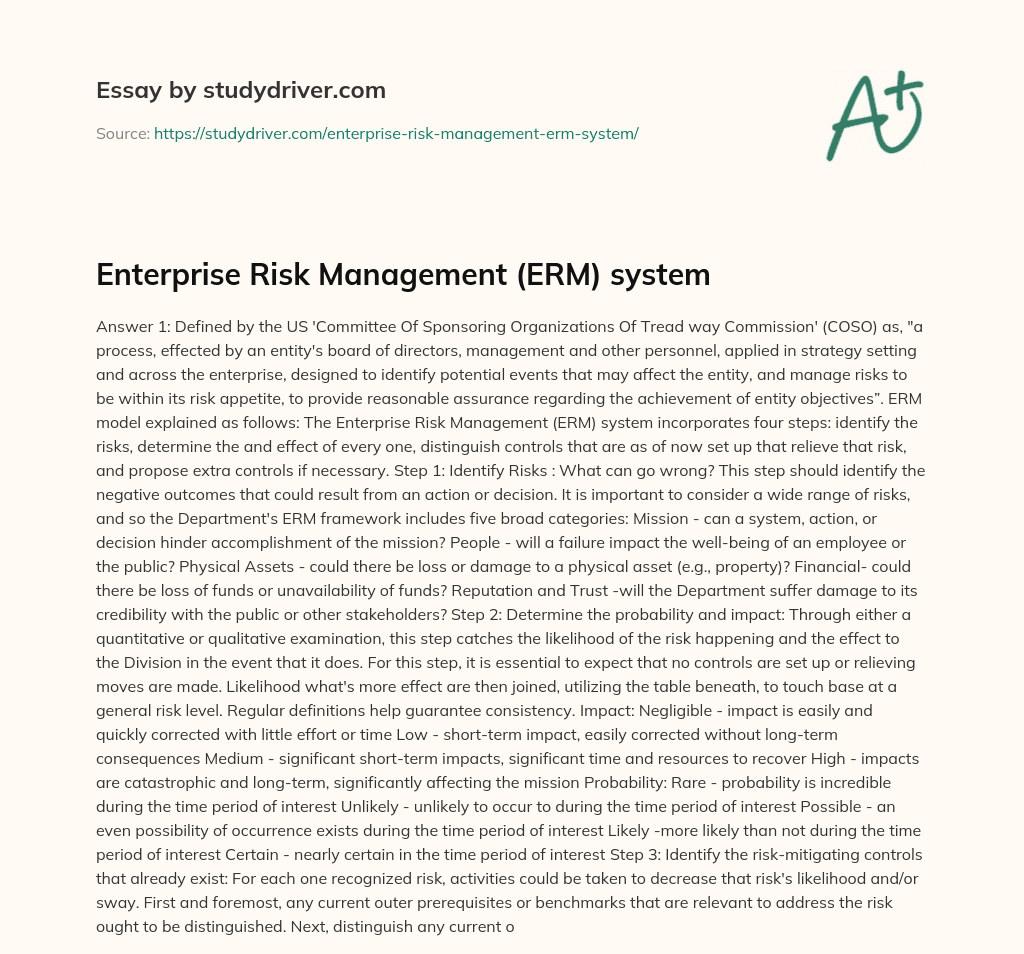 Enterprise Risk Management (ERM) System essay