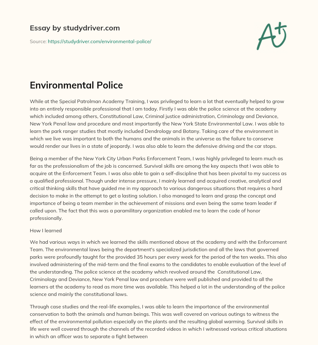 Environmental Police essay