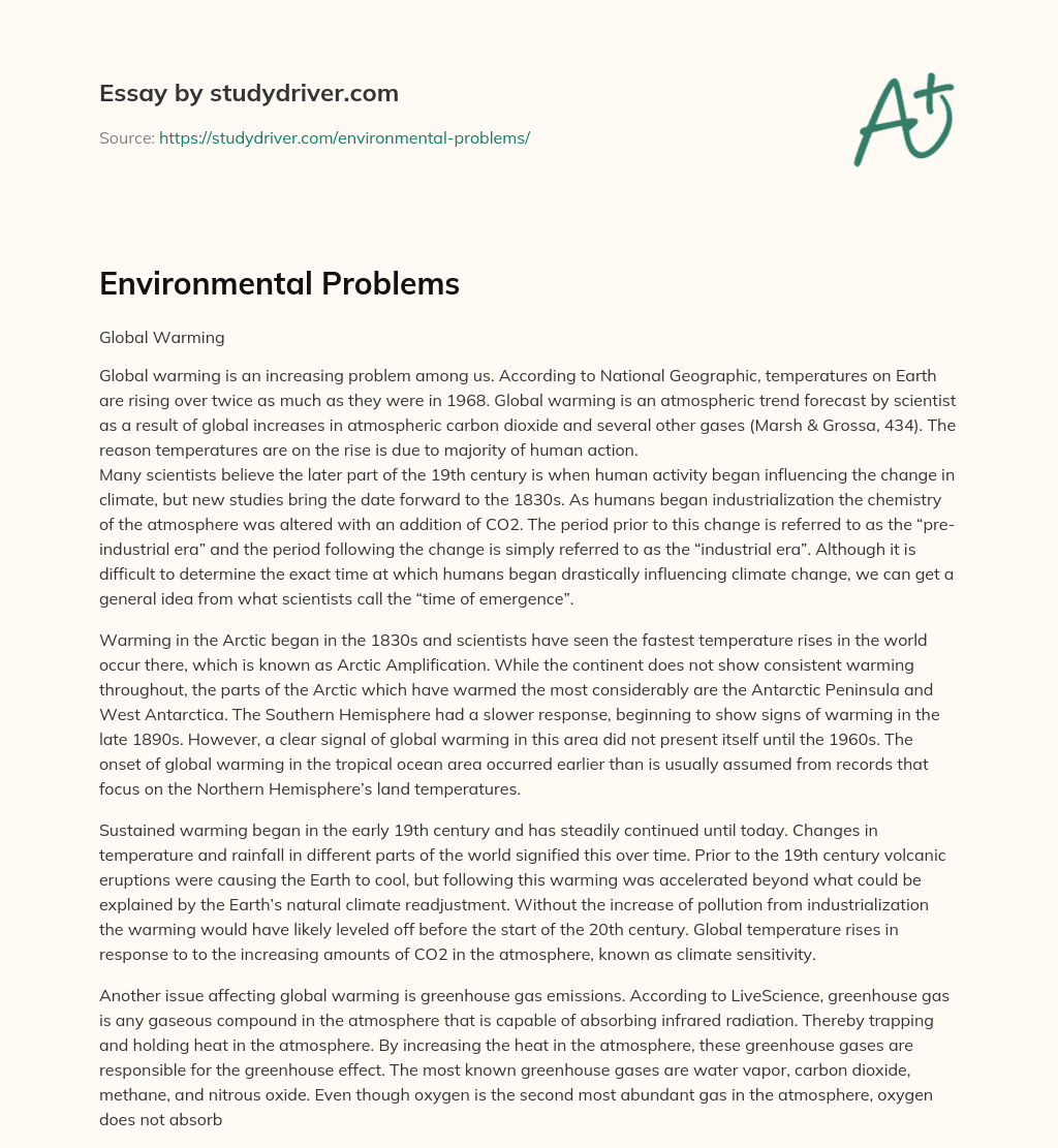Environmental Problems essay
