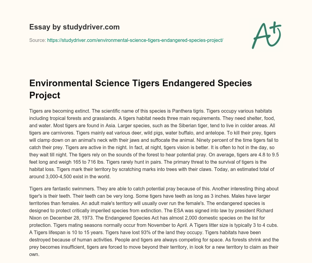 Environmental Science Tigers Endangered Species Project essay