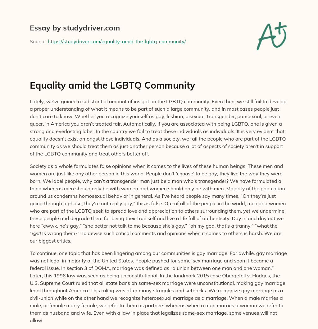 Equality Amid the LGBTQ Community essay