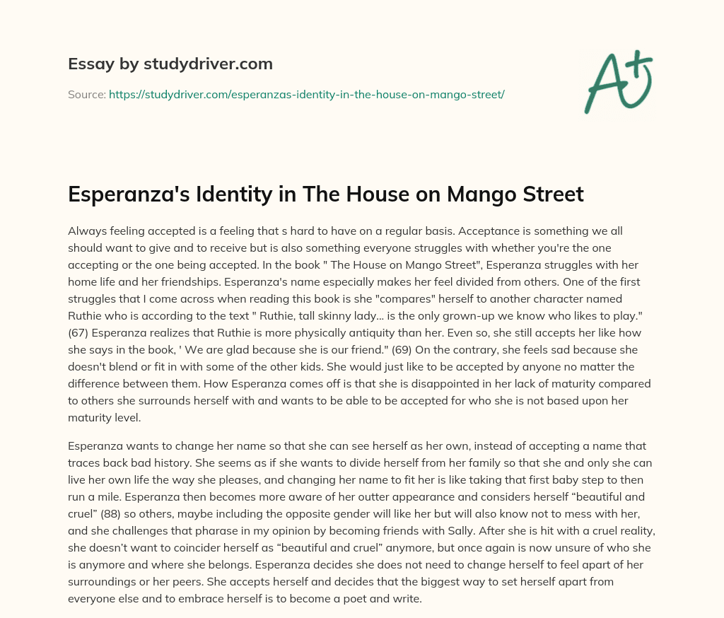 Esperanza’s Identity in the House on Mango Street essay