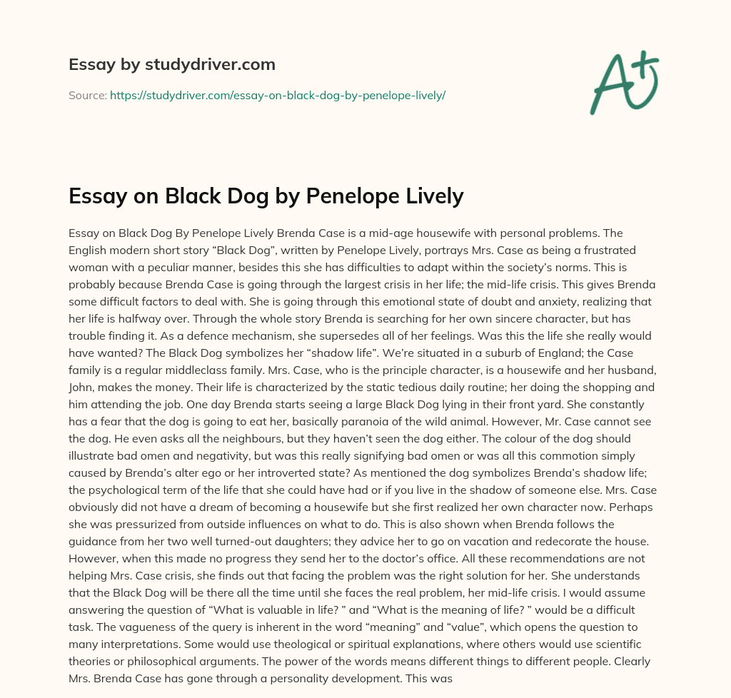 Essay on Black Dog by Penelope Lively essay