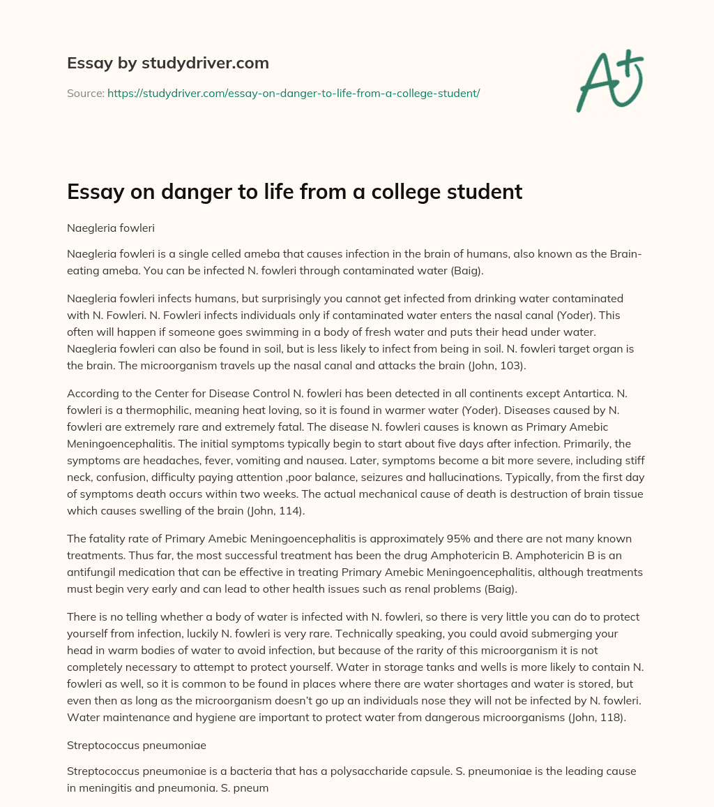 Essay on Danger to Life from a College Student essay