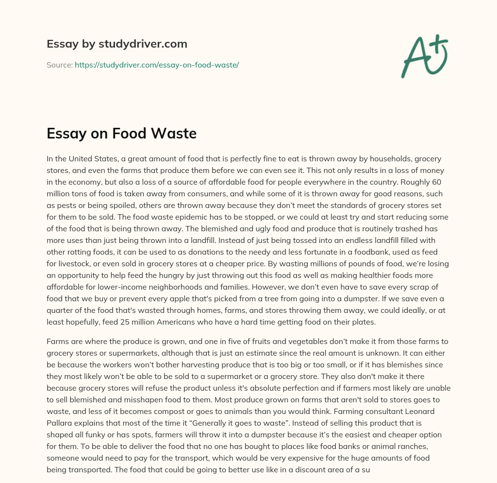 Essay on Food Waste essay