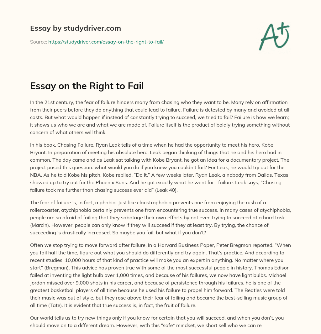 Essay on the Right to Fail essay