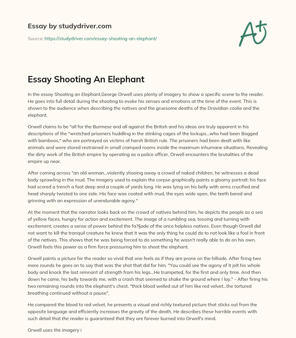 Essay Shooting an Elephant essay