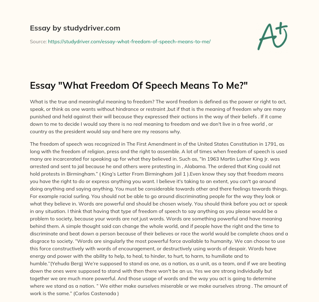 Essay “What Freedom of Speech Means to Me?” essay