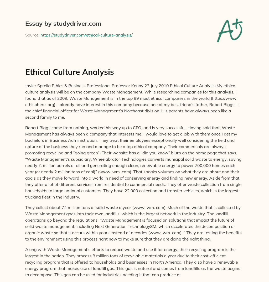 Ethical Culture Analysis essay