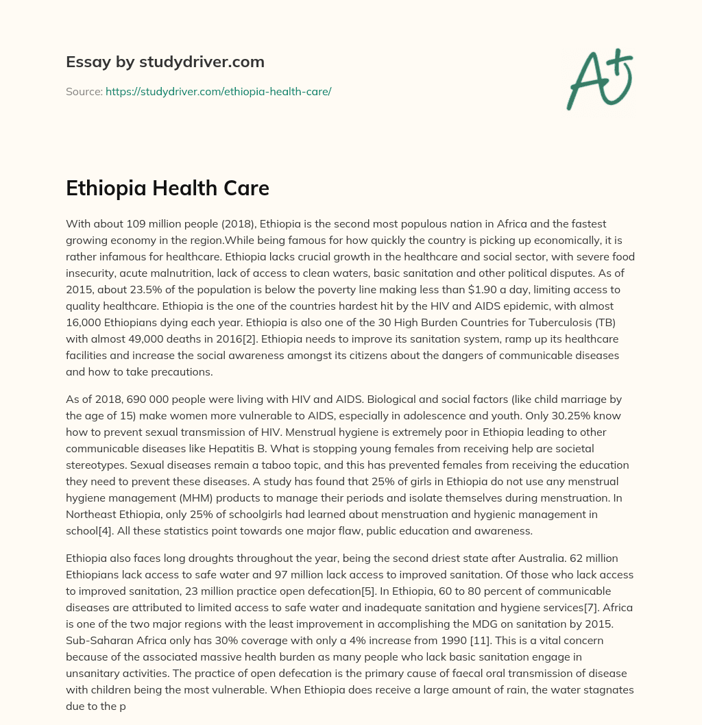 Ethiopia Health Care essay
