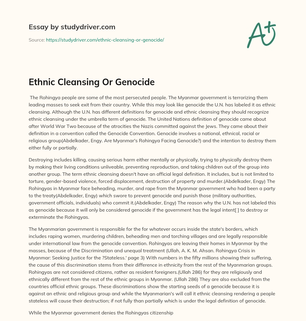 Ethnic Cleansing or Genocide essay