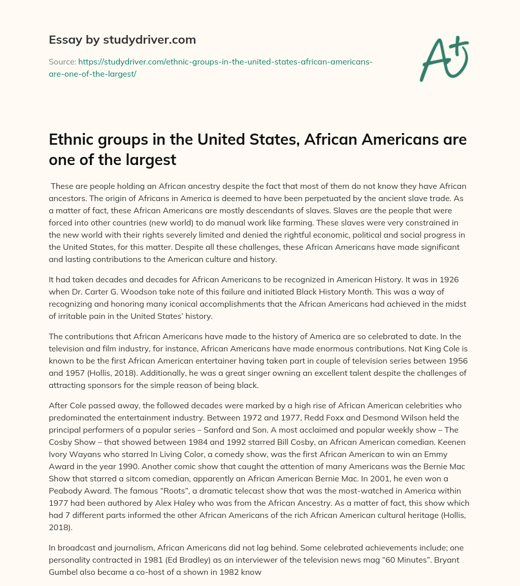 Ethnic Groups in the United States, African Americans are One of the Largest essay