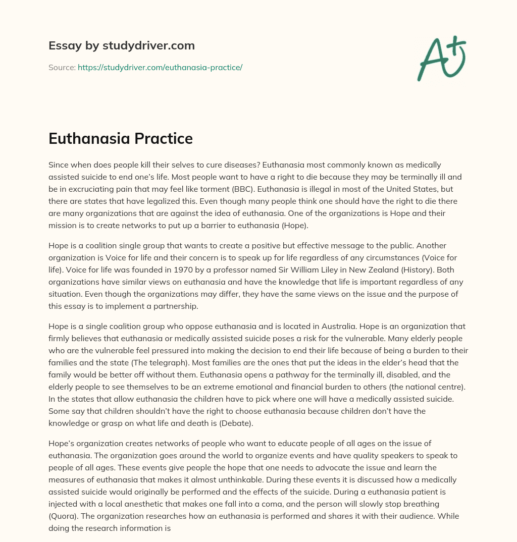 Euthanasia Practice essay