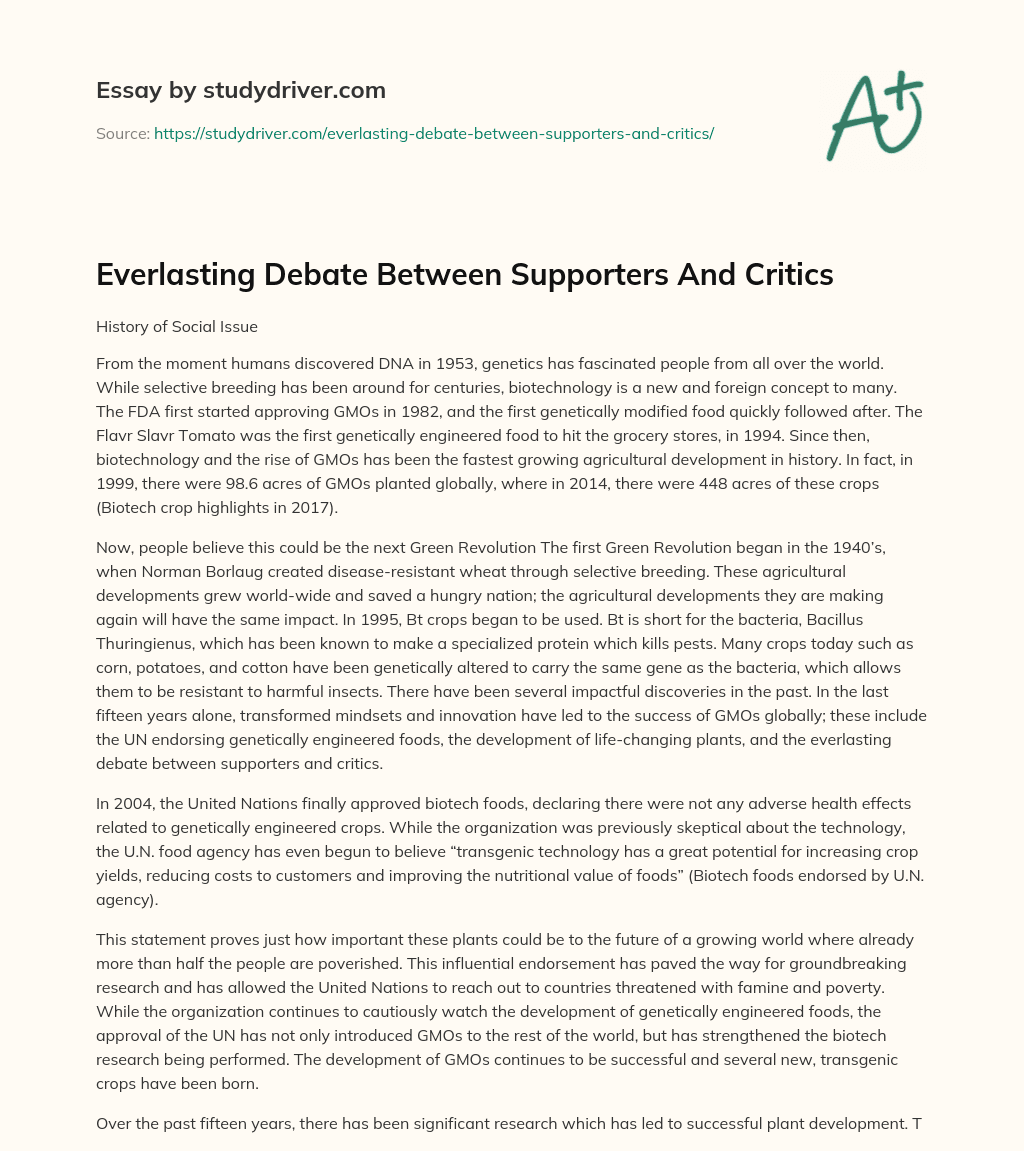 Everlasting Debate between Supporters and Critics essay