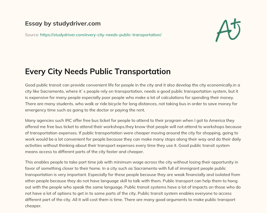 Every City Needs Public Transportation essay