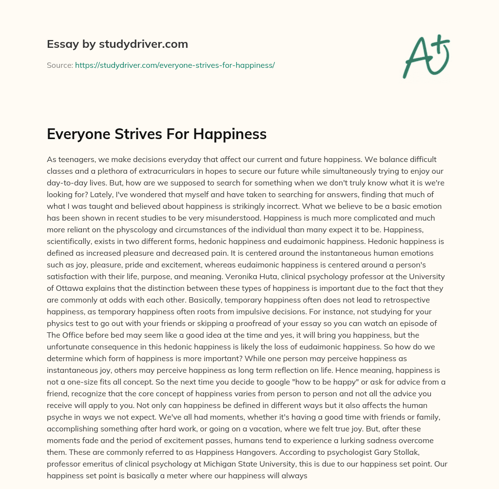Everyone Strives for Happiness essay