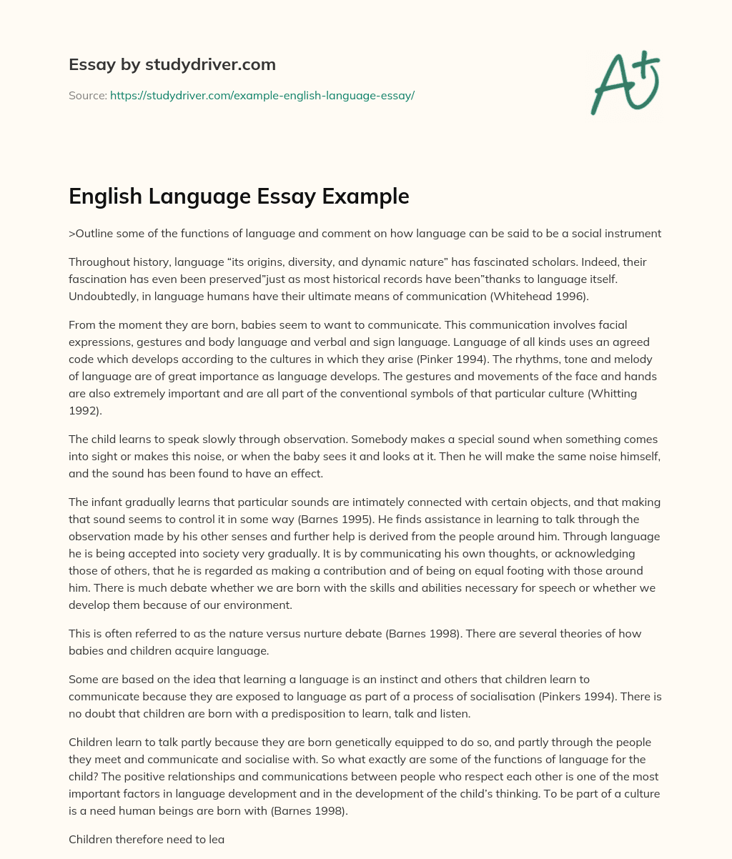 English Language Essay Example essay