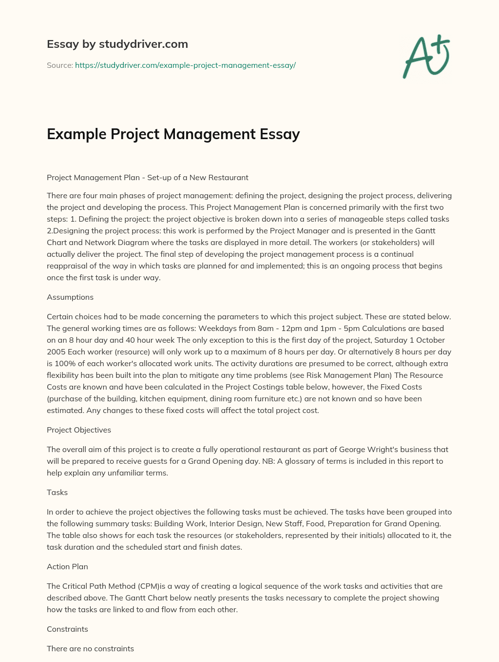 Example Project Management Essay essay