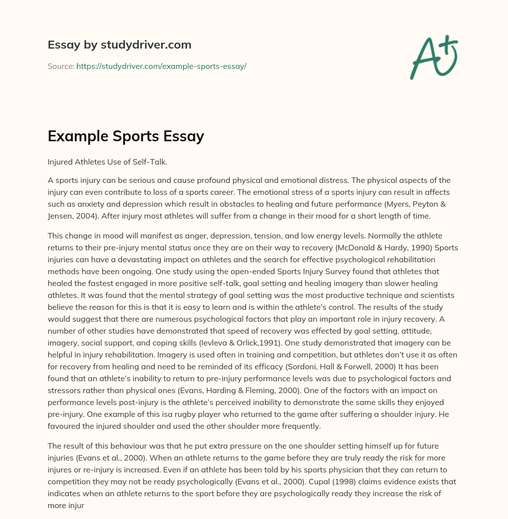 Example Sports Essay essay
