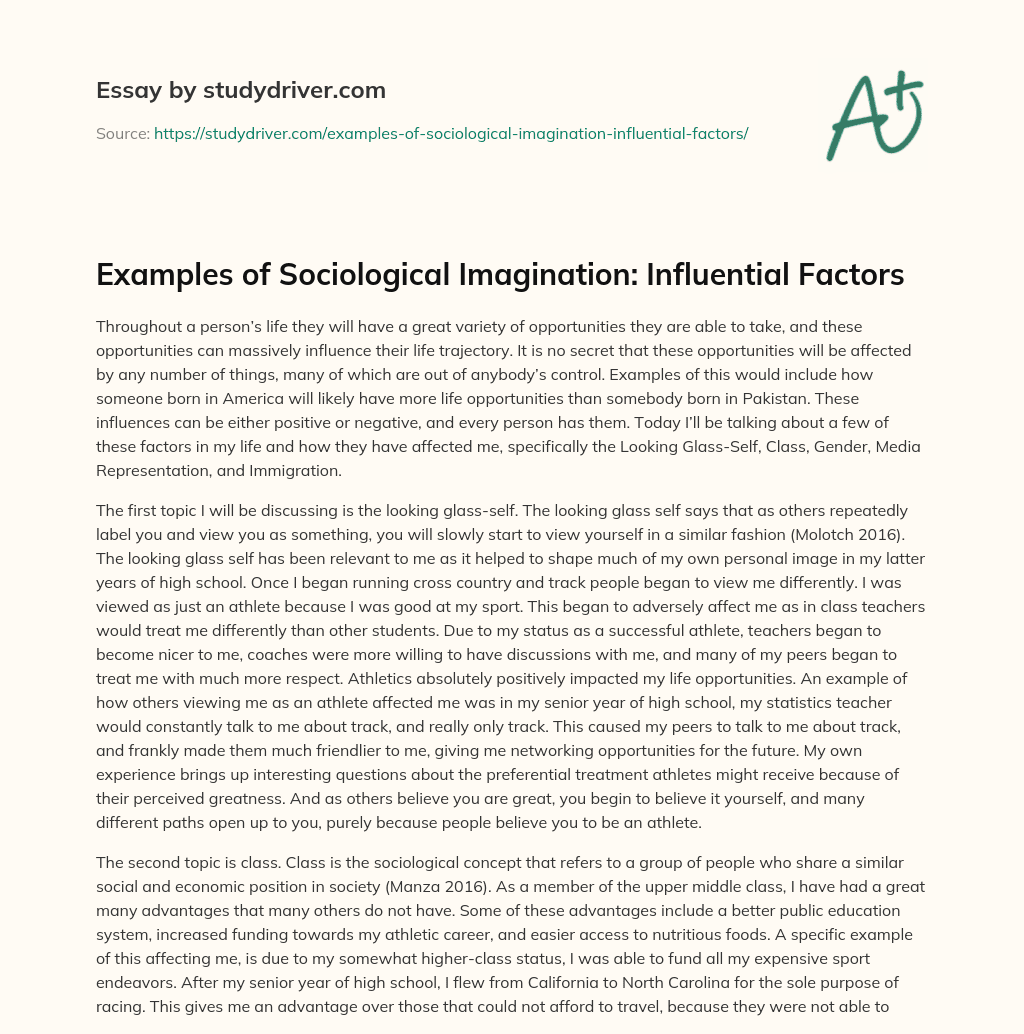 Examples of Sociological Imagination: Influential Factors essay