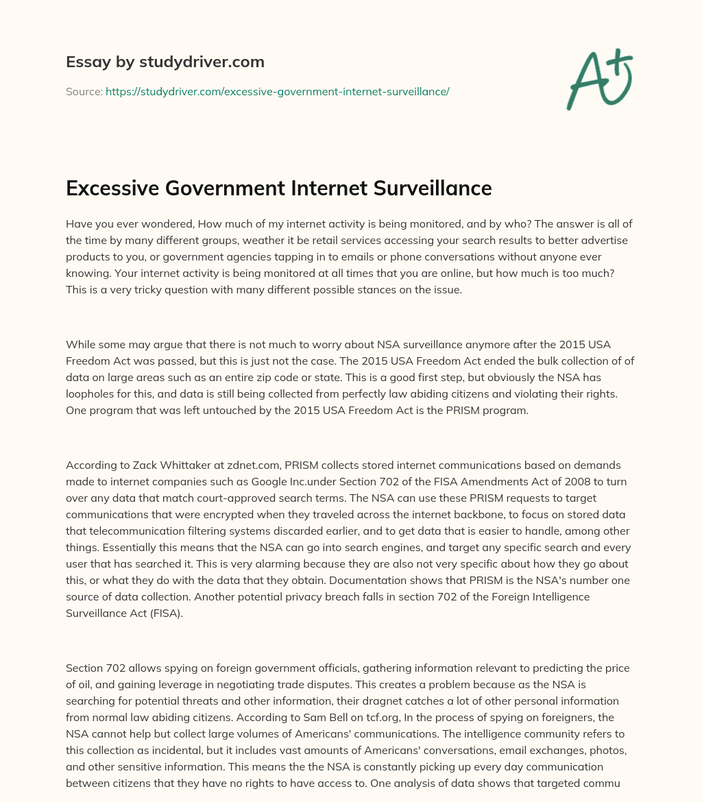 Excessive Government Internet Surveillance essay