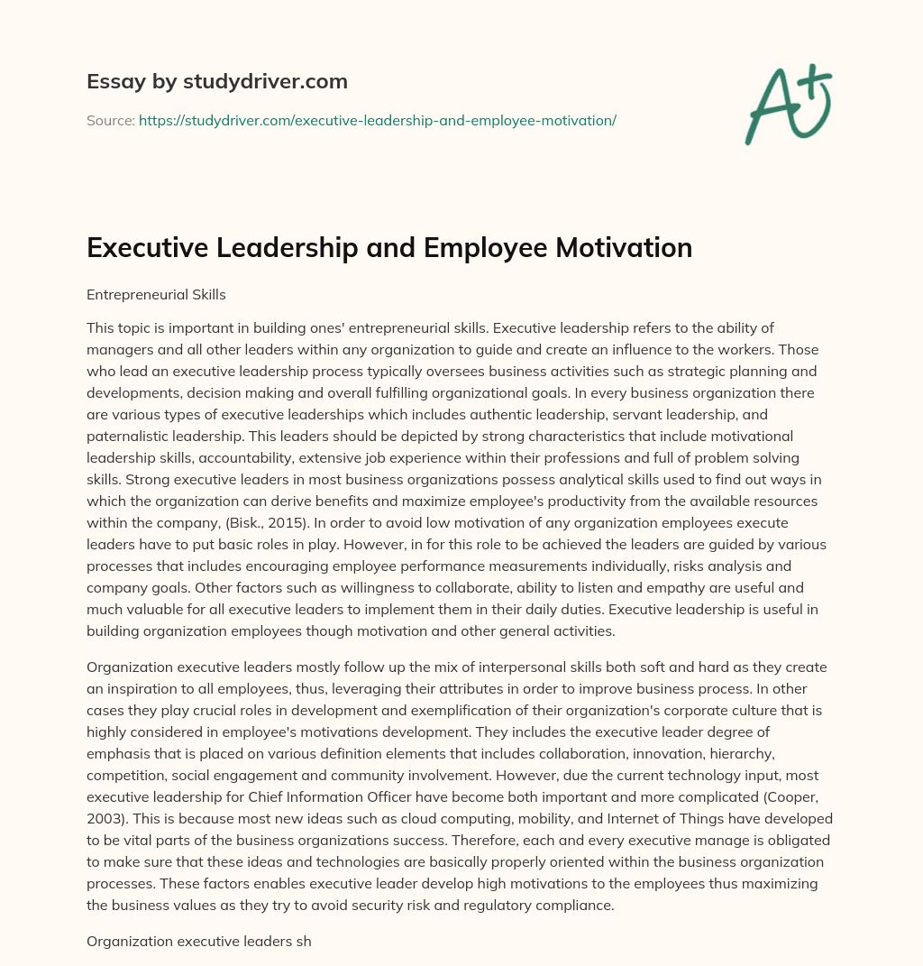 Executive Leadership and Employee Motivation essay