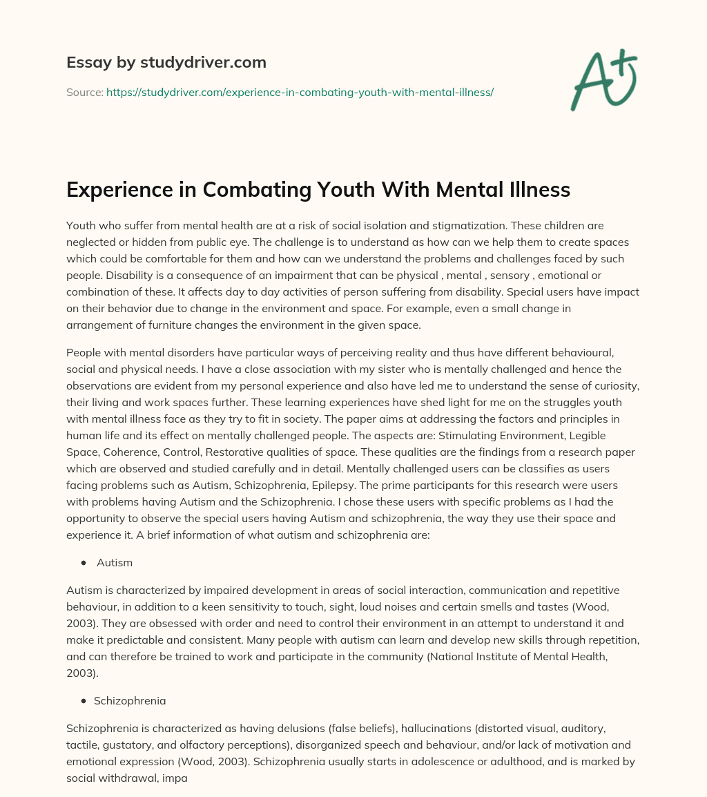 Experience in Combating Youth with Mental Illness essay