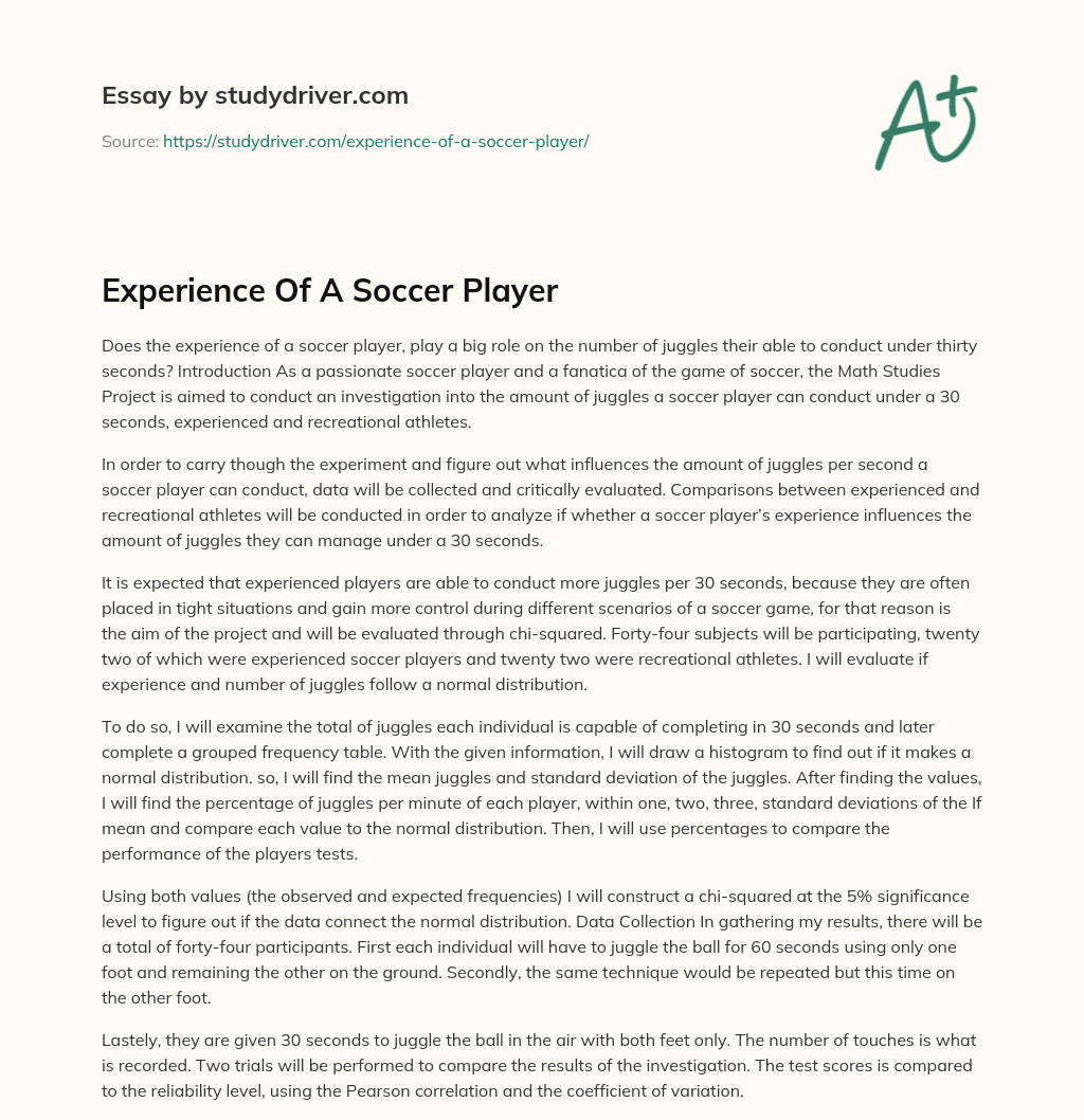 Experience of a Soccer Player essay