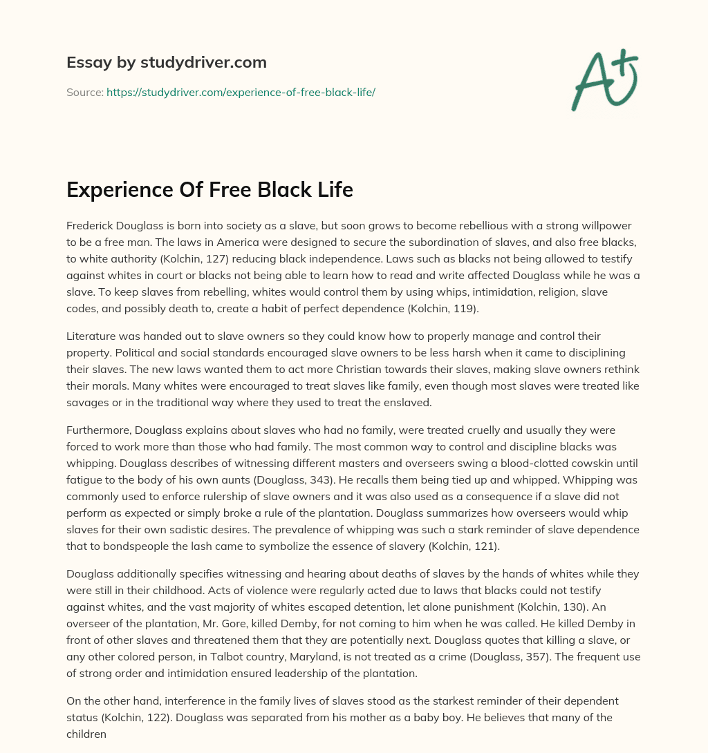 Experience of Free Black Life essay