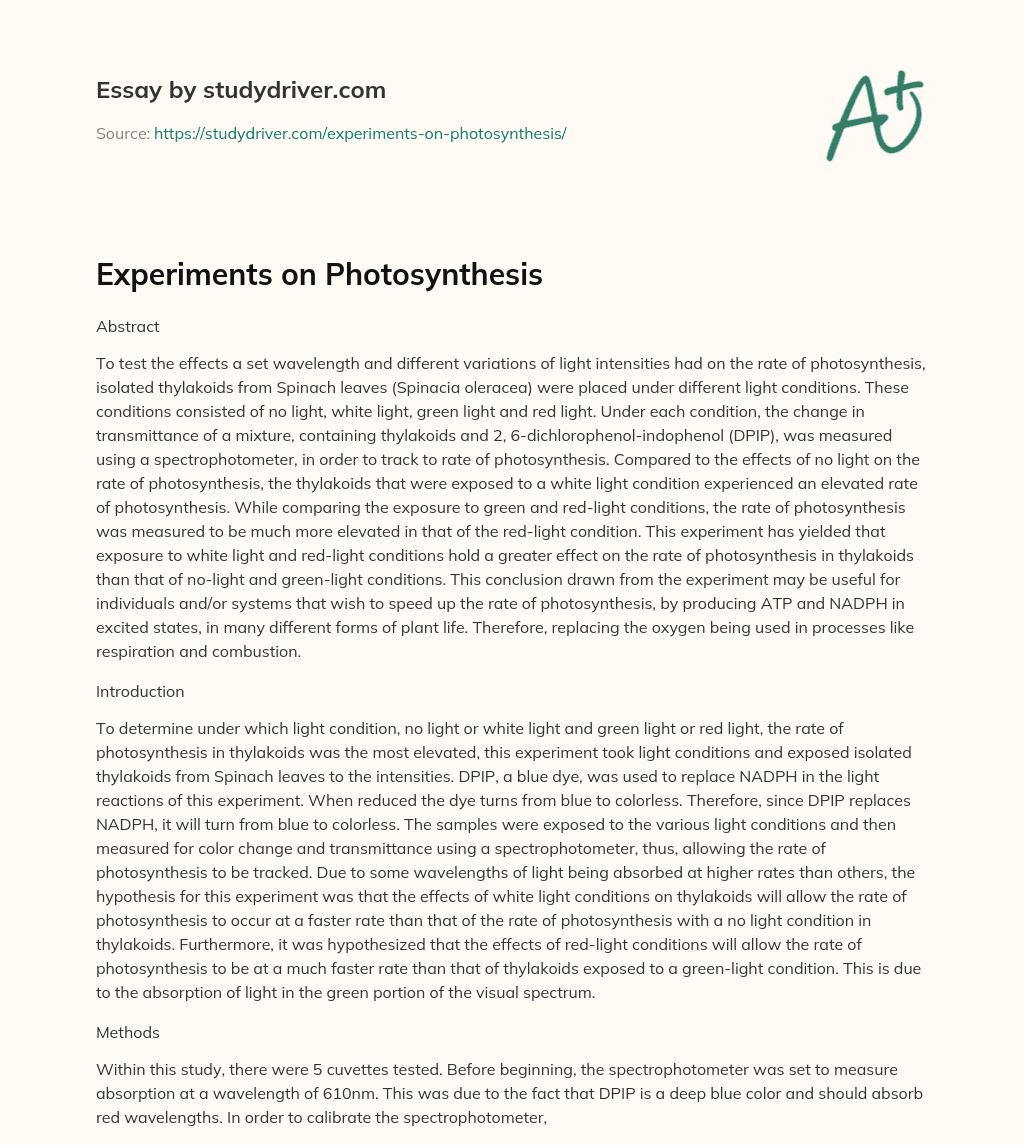 Experiments on Photosynthesis essay