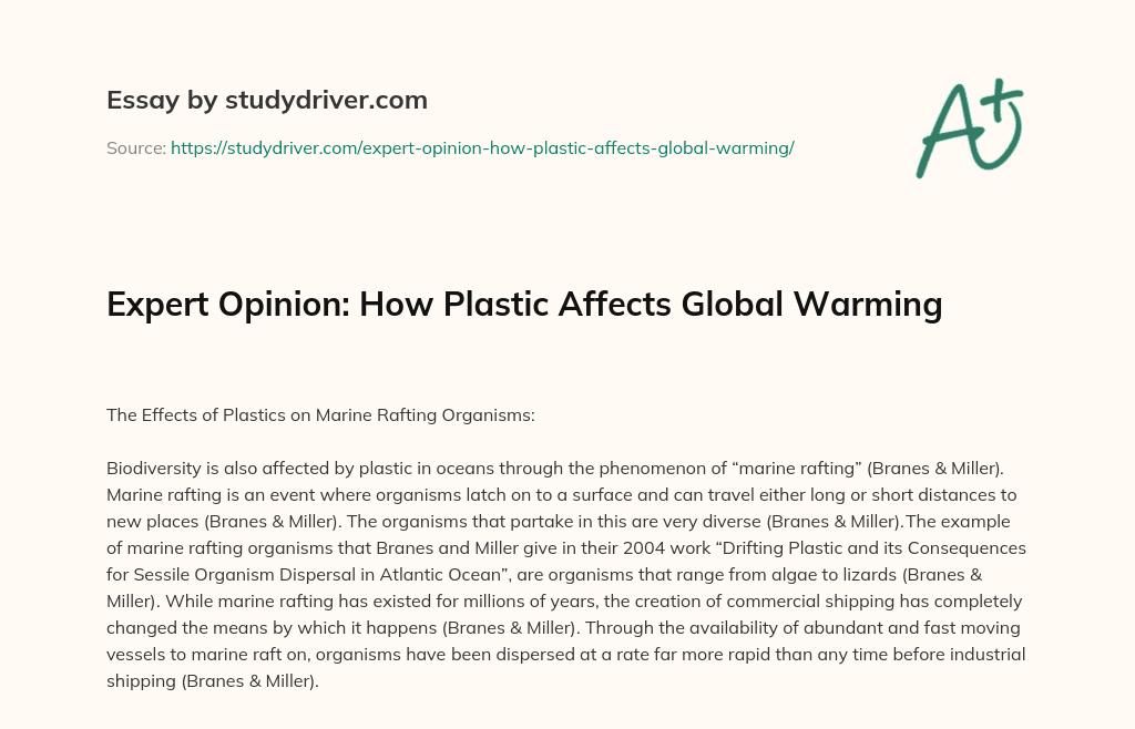 Expert Opinion: how Plastic Affects Global Warming essay