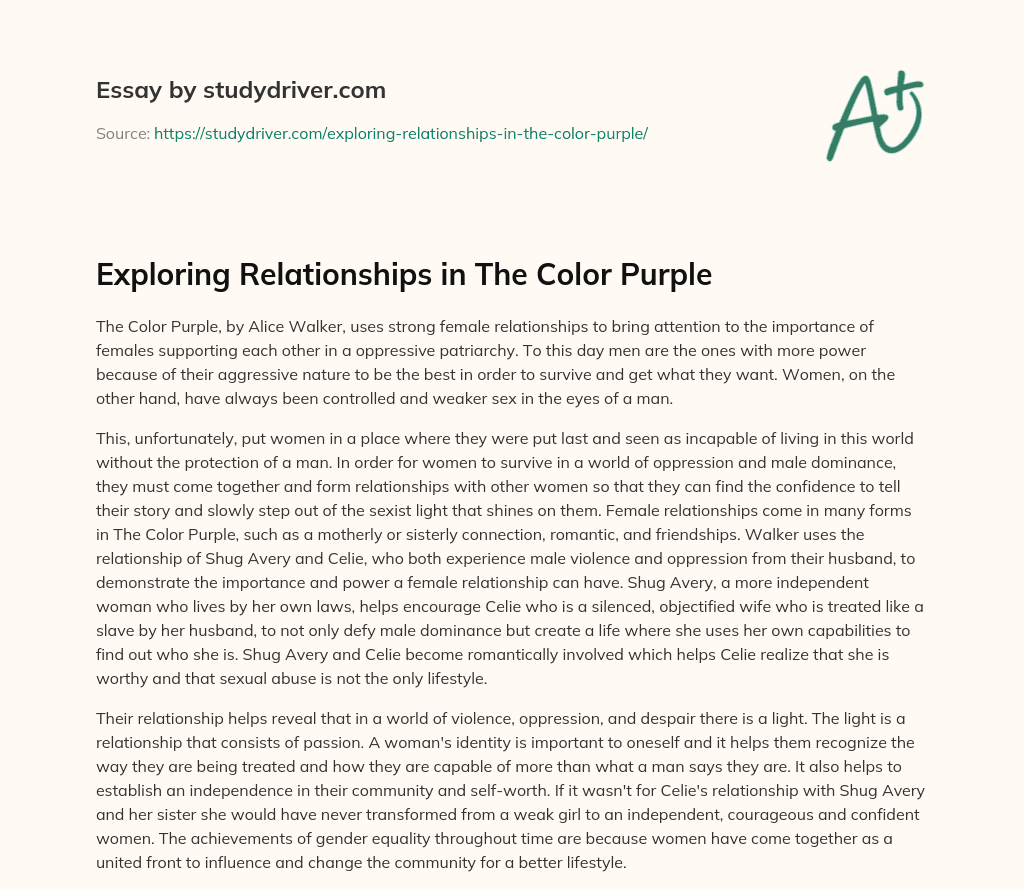 Exploring Relationships in the Color Purple essay