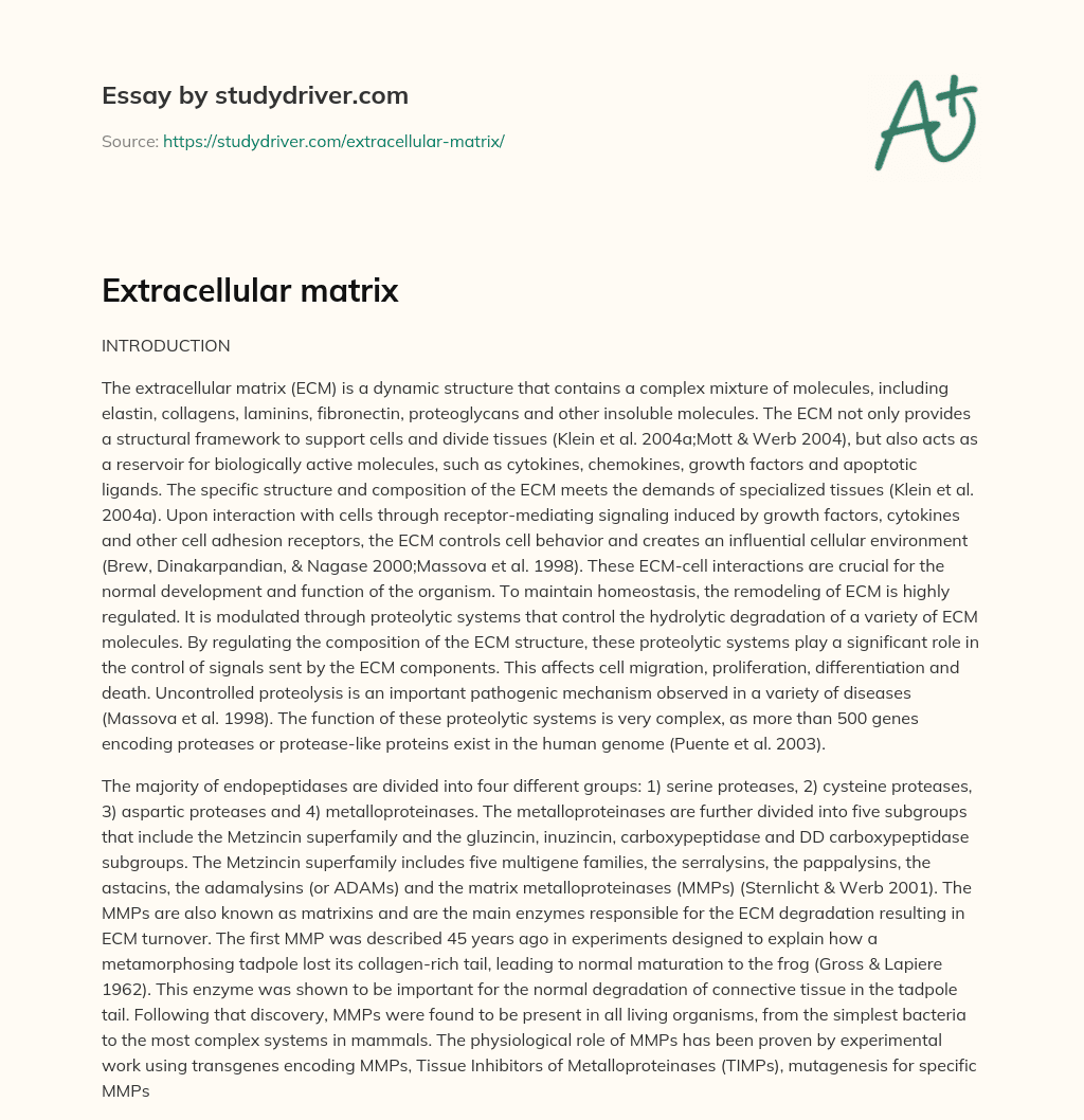 Extracellular Matrix essay