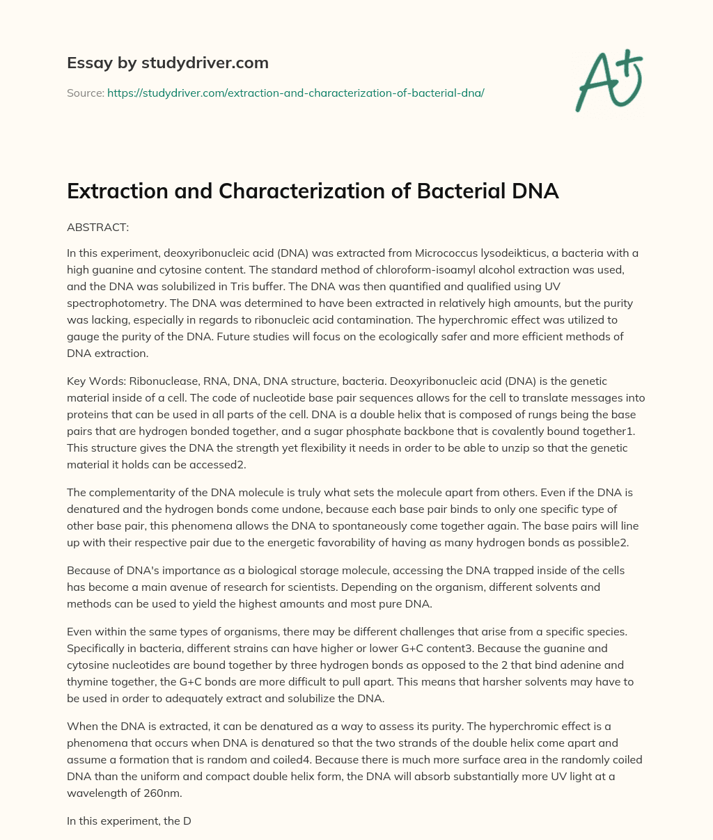 Extraction and Characterization of Bacterial DNA essay