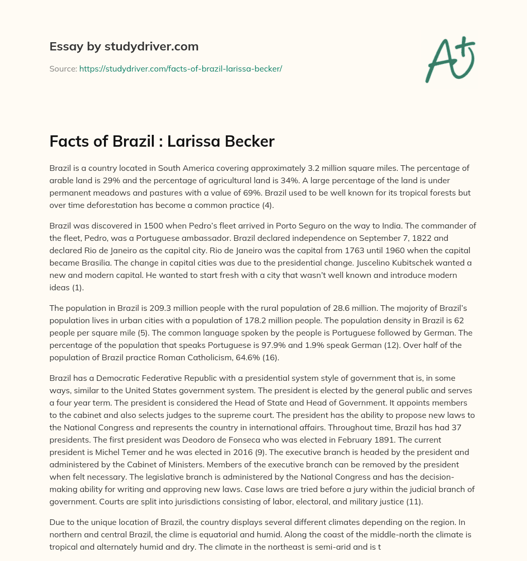 Facts of Brazil : Larissa Becker essay