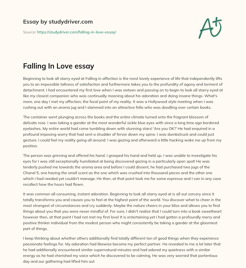 Falling in Love Essay essay