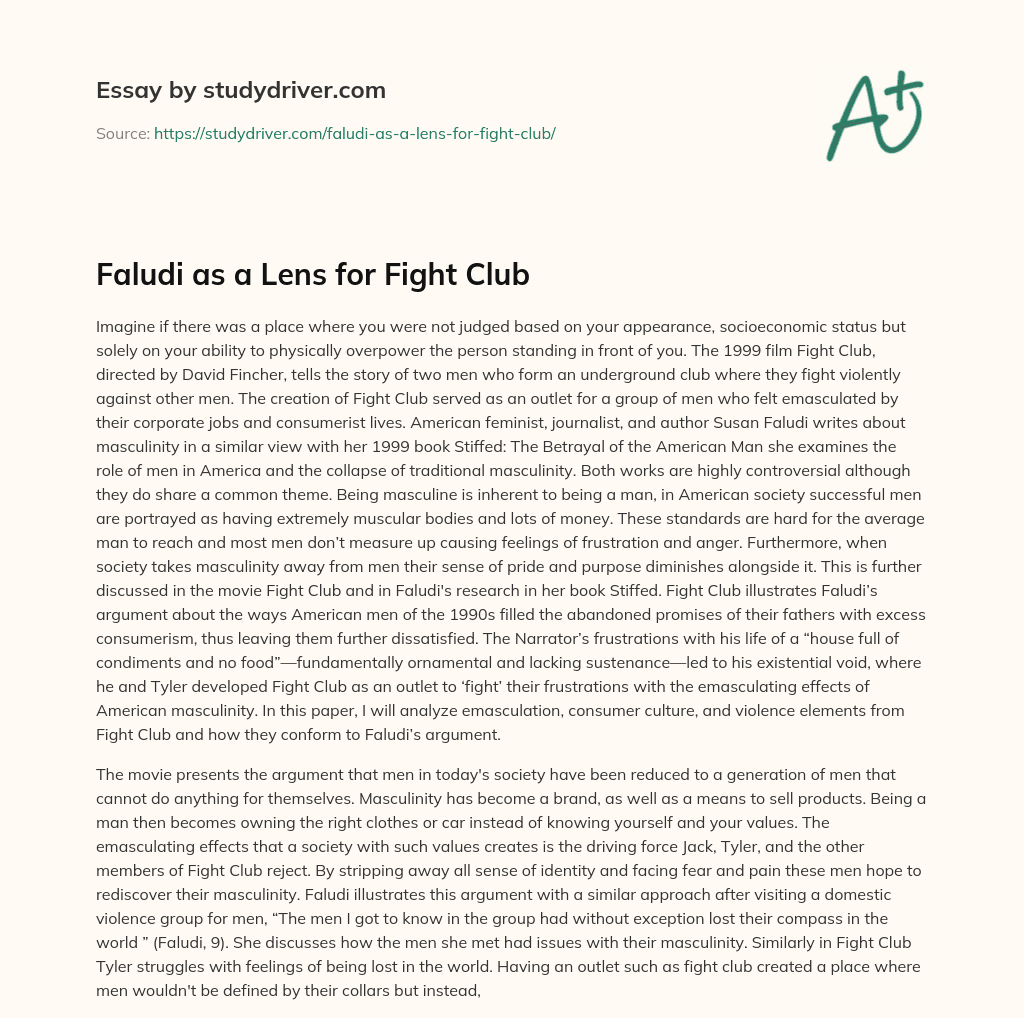 Faludi as a Lens for Fight Club essay
