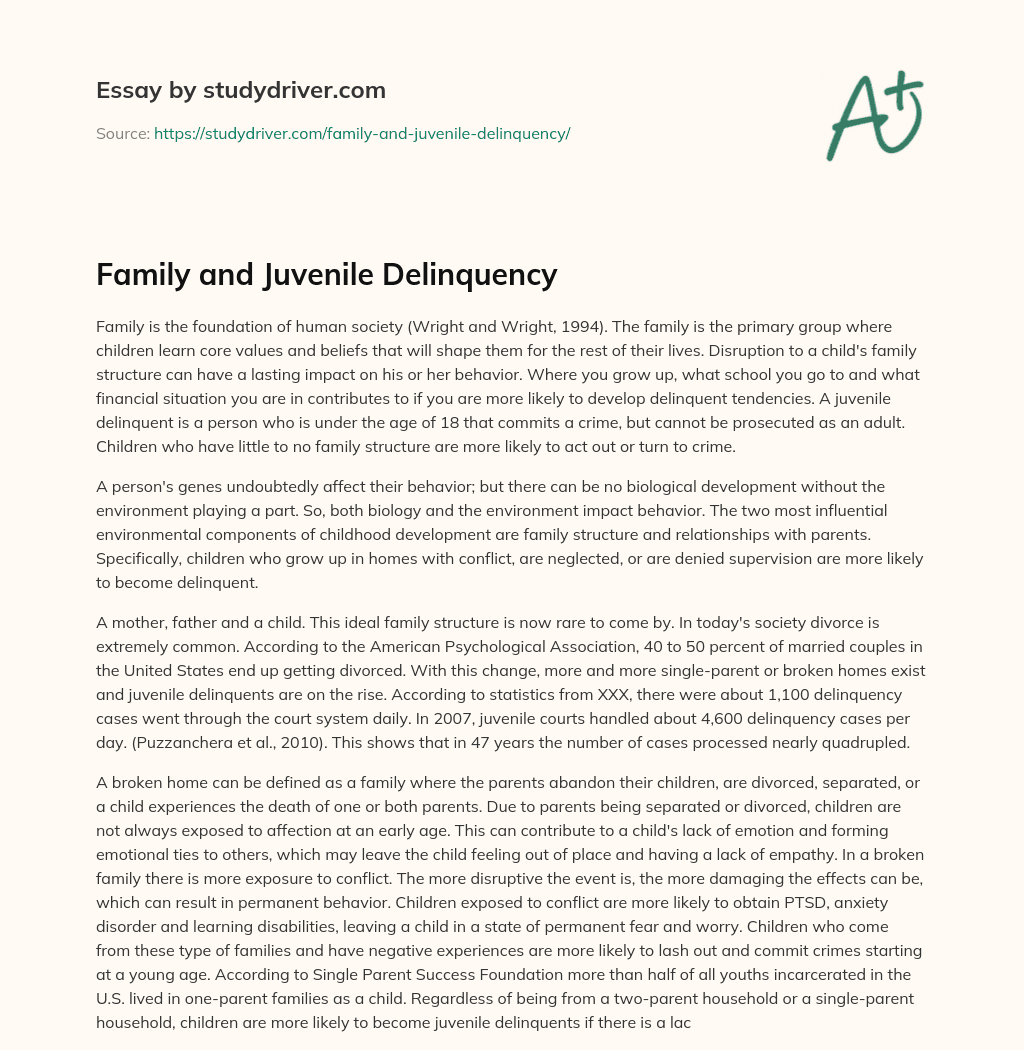 Family and Juvenile Delinquency essay