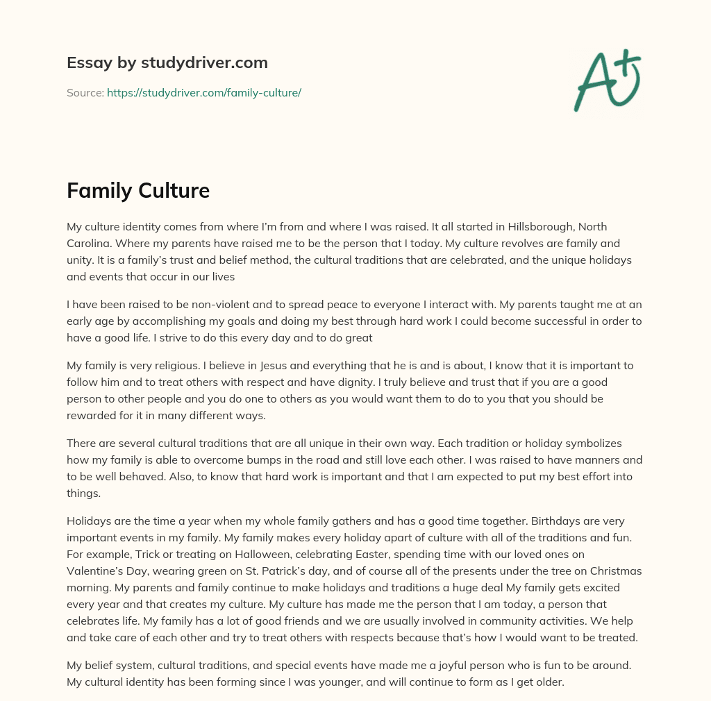 Family Culture essay