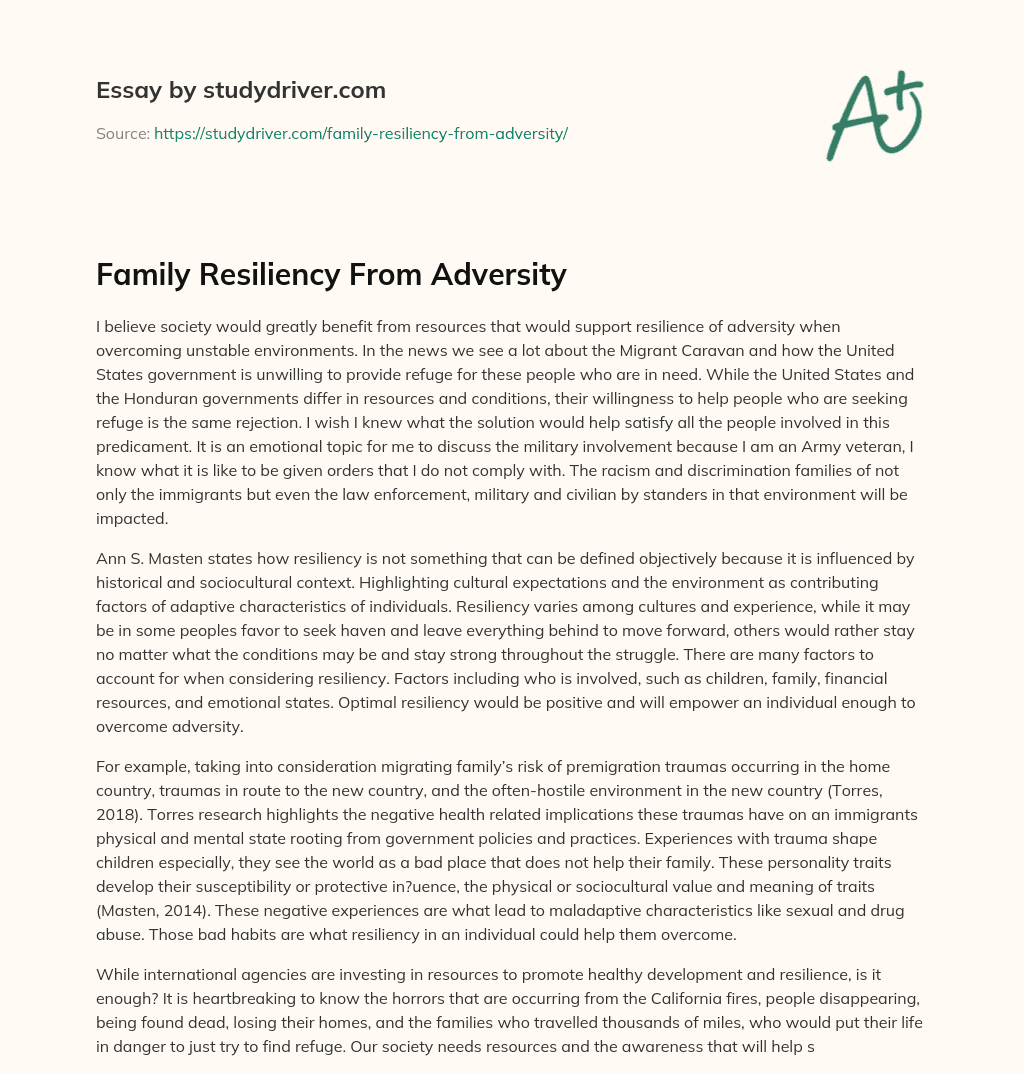 Family Resiliency from Adversity essay