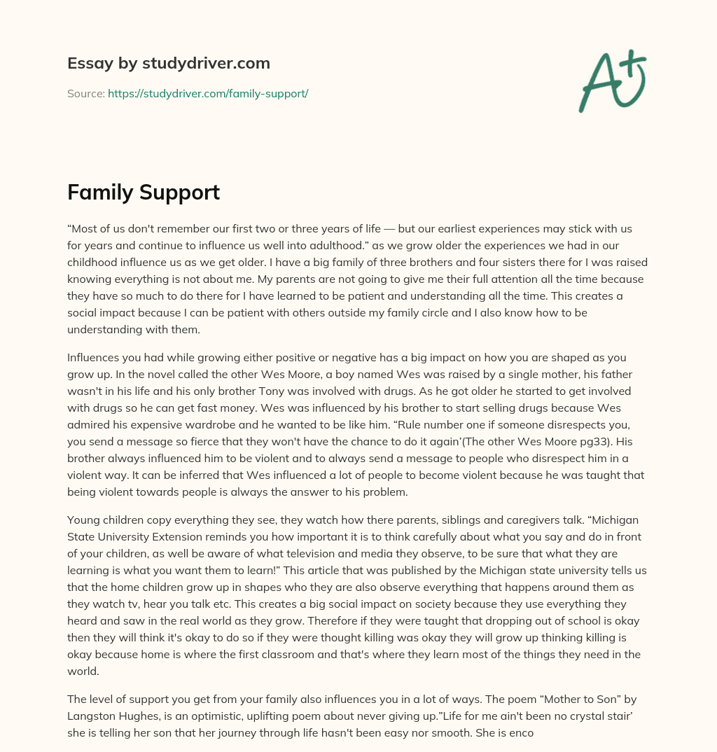 Family Support essay