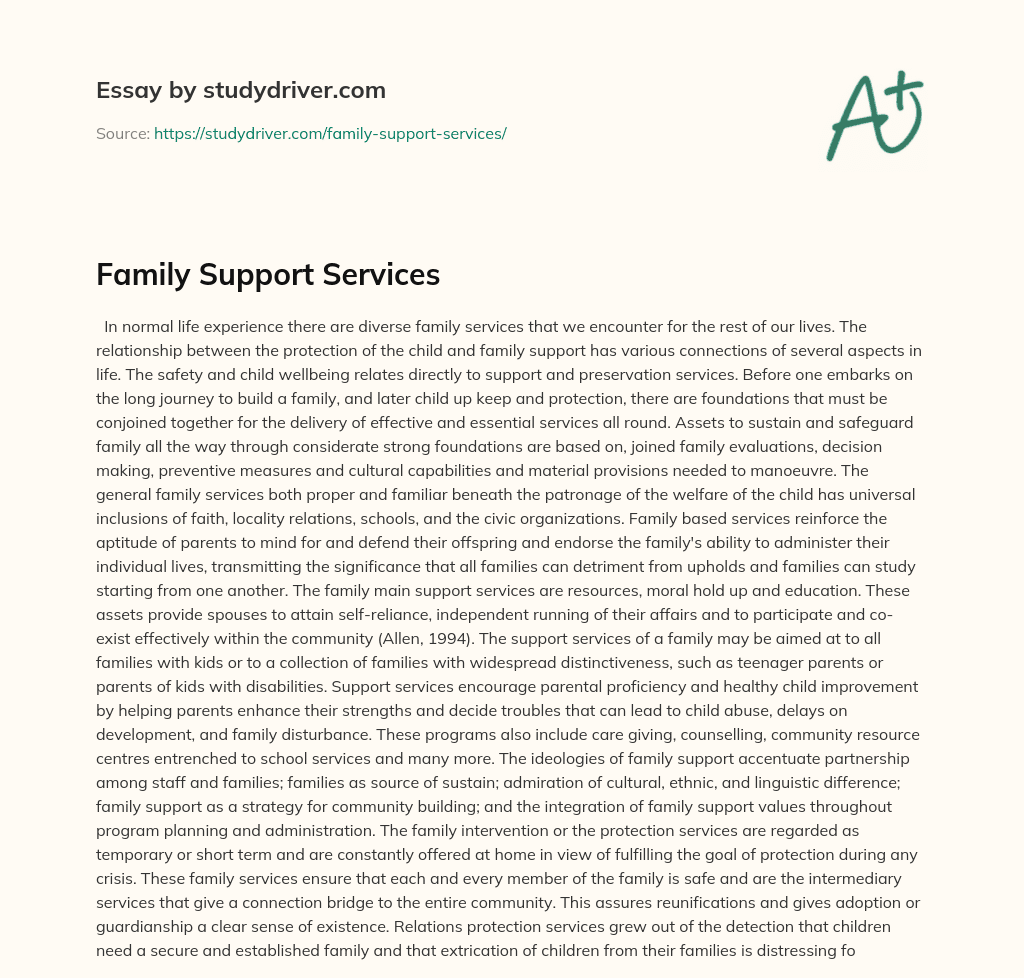 Family Support Services essay