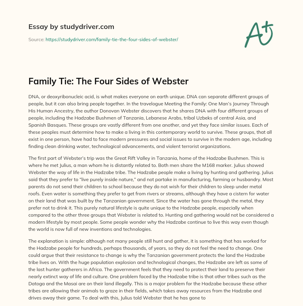 Family Tie: the Four Sides of Webster essay