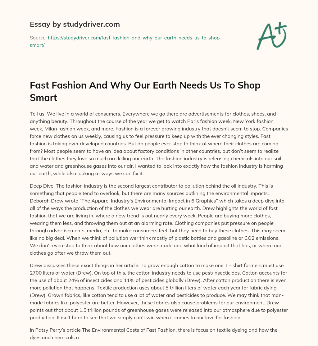 Fast Fashion and why our Earth Needs Us to Shop Smart essay
