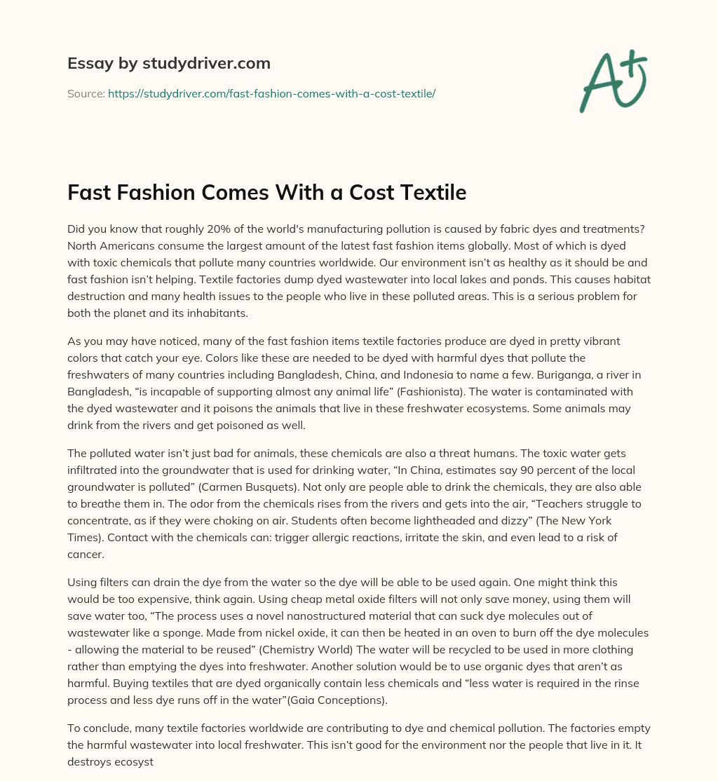 Fast Fashion Comes with a Cost Textile essay